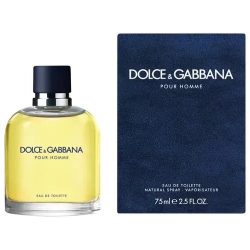 メンズ人気！DOLCE&GABBANA POUR HOMME EDT 100ml Dg - Dolce & Gabbana Pour Homme Edt - Perfume Dolce & Gabbana Pour