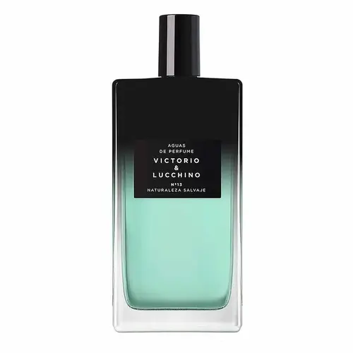 Perfume Victorio & Lucchino Aguas Intensas Nº13 Eau de Parfum Masculino